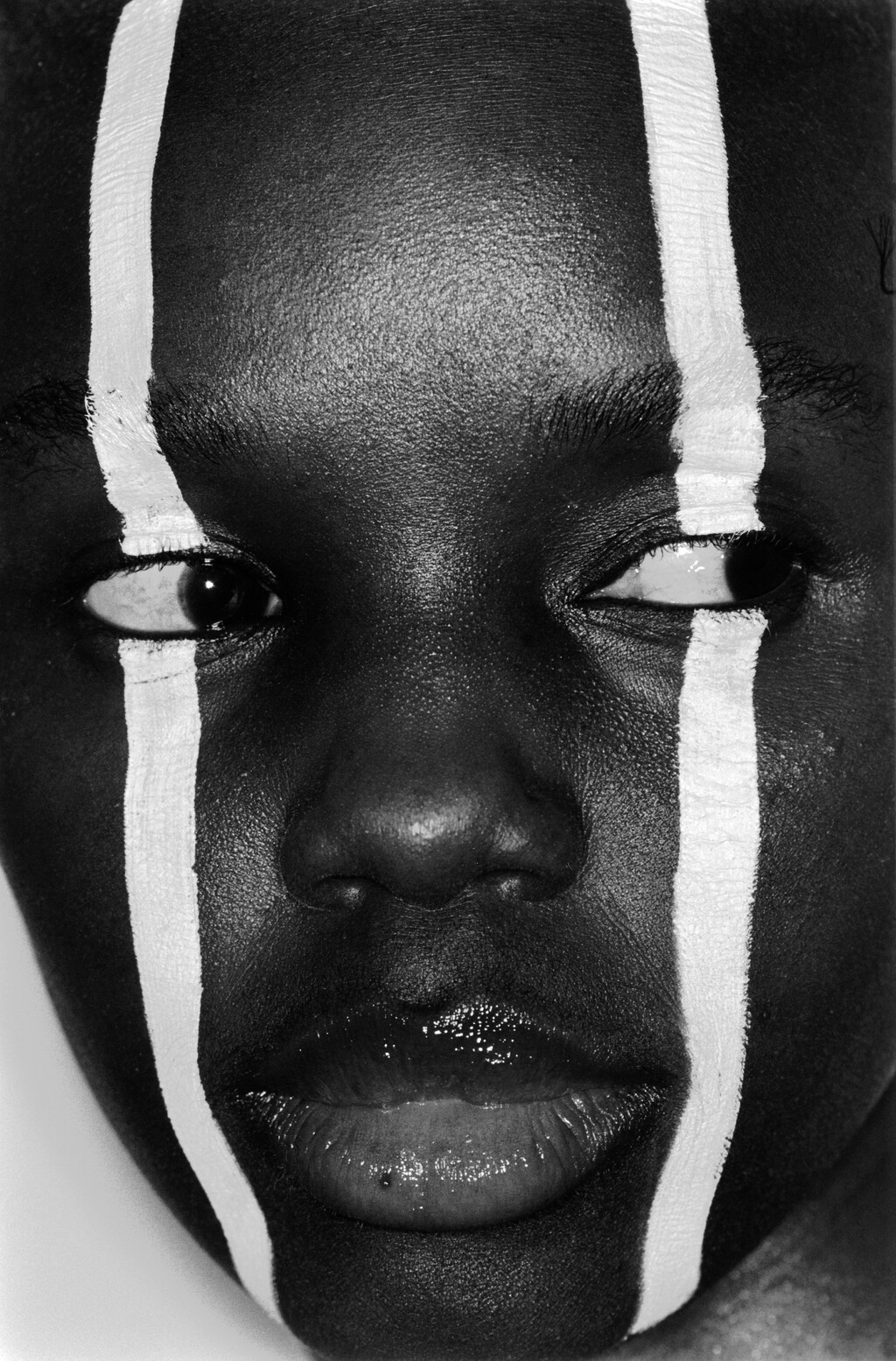 Truffle - © Artlist