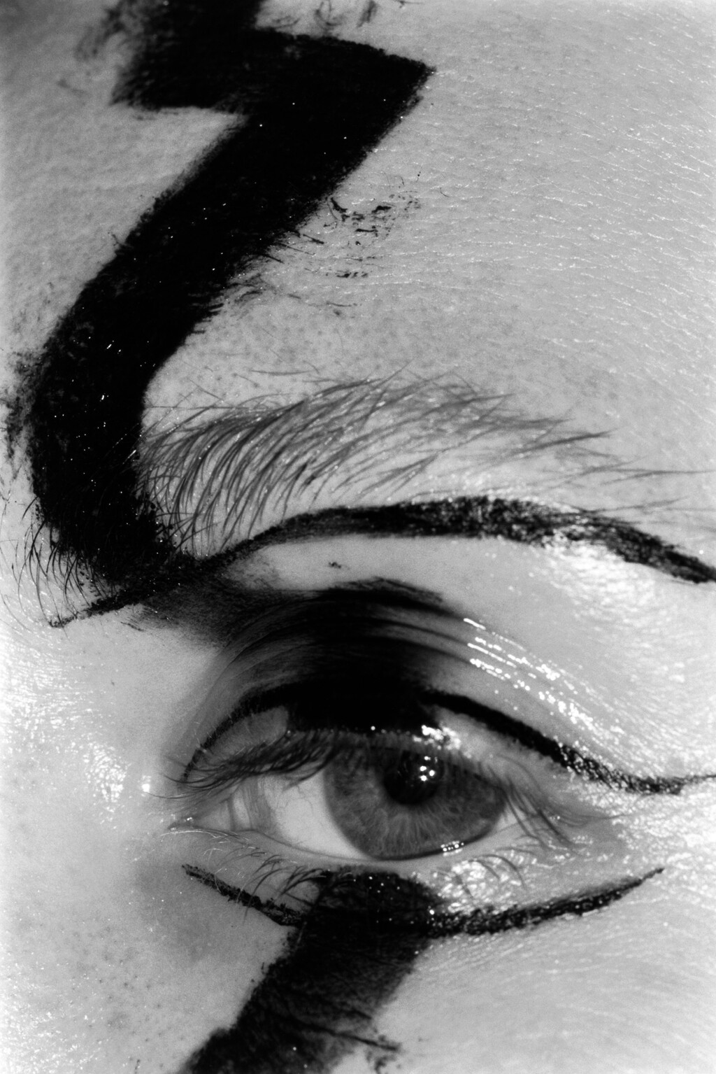 Truffle - © Artlist