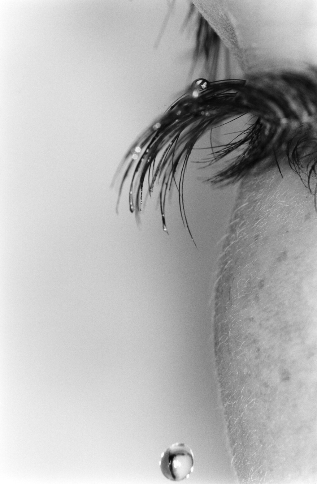 Truffle - © Artlist