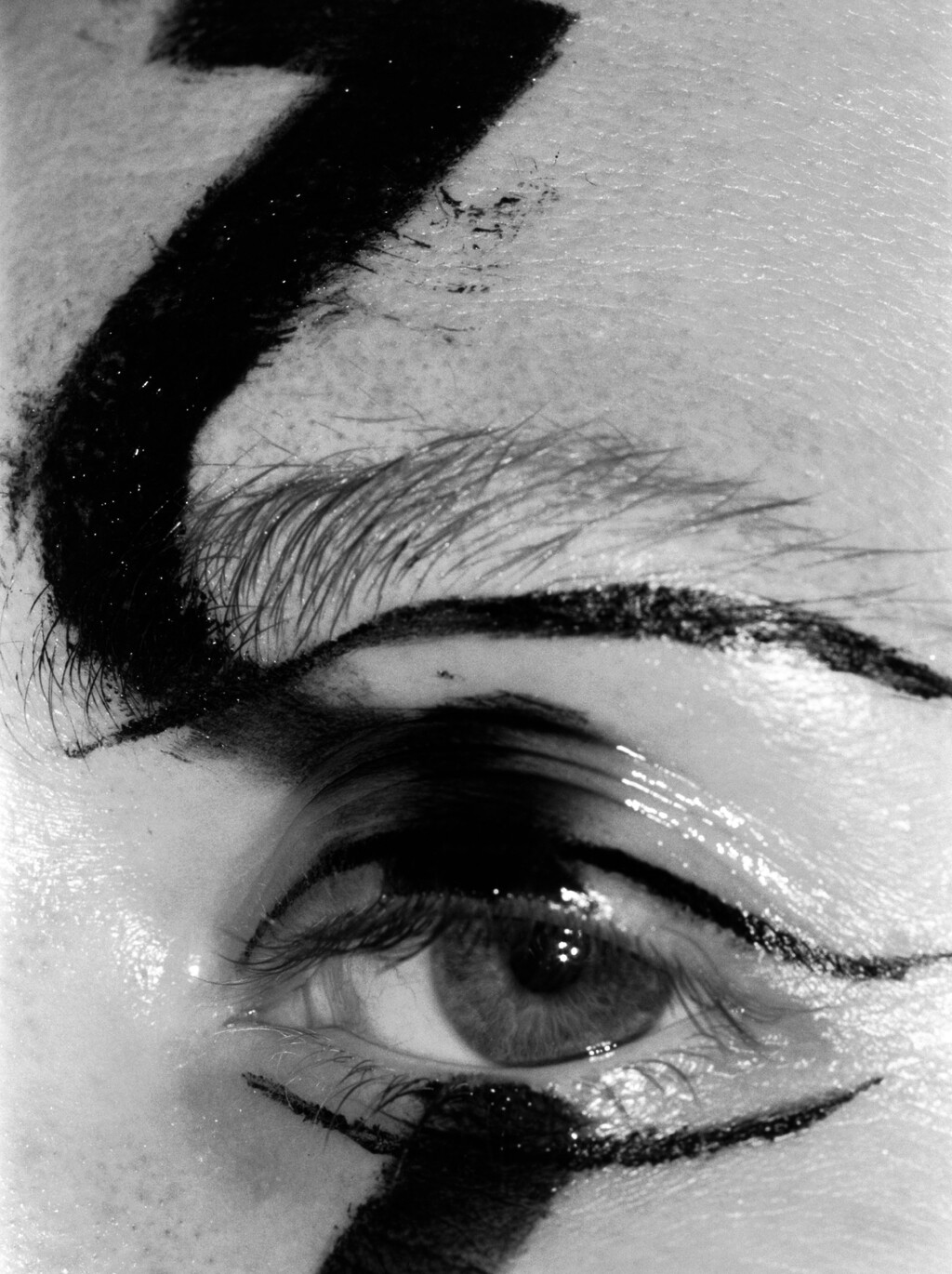 Truffle - © Artlist