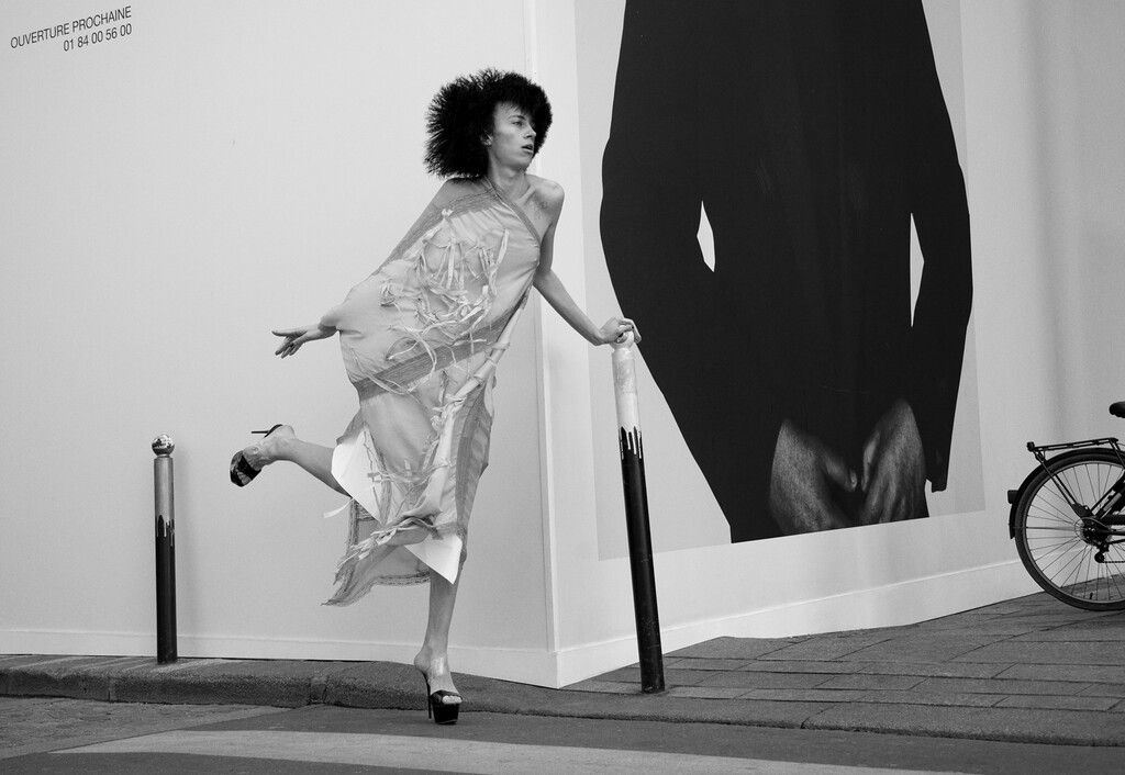 Buffalozine - © Artlist