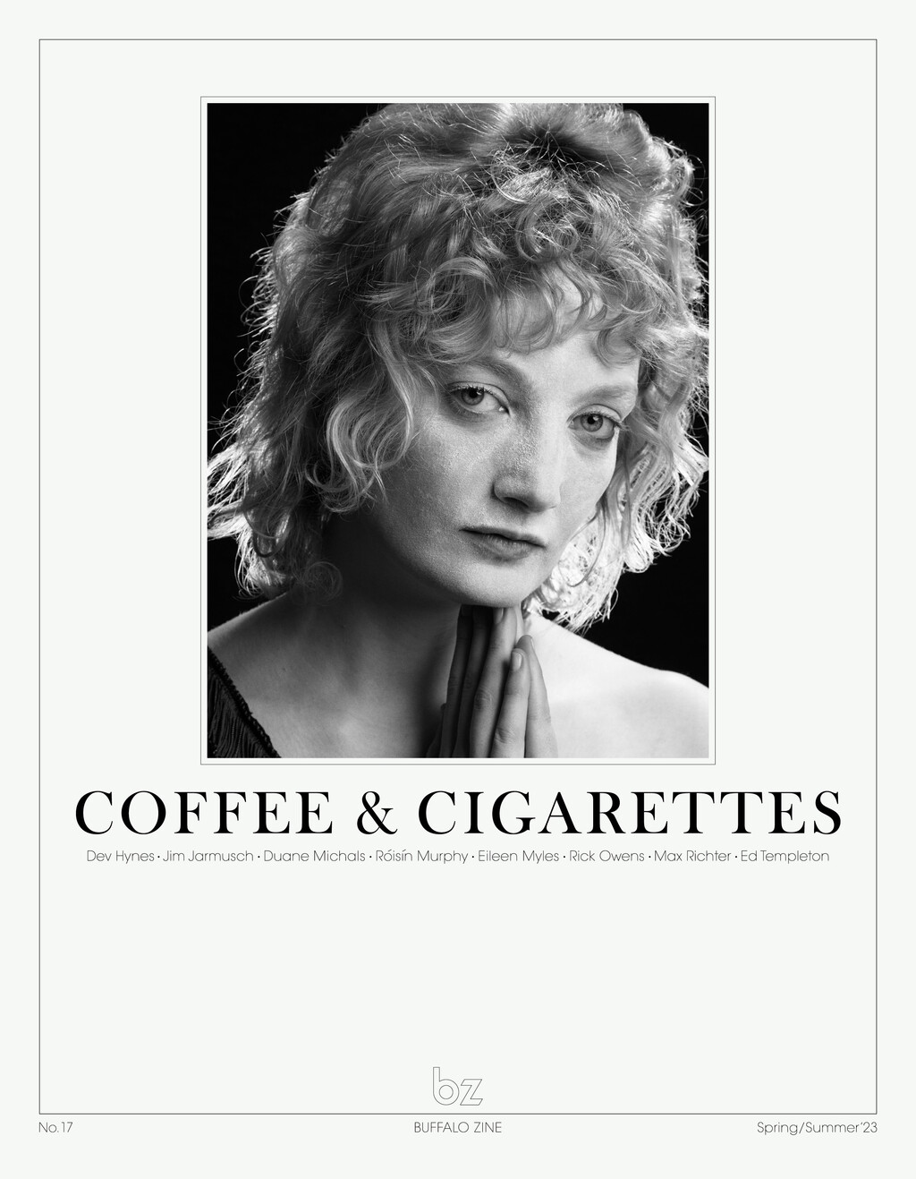 Buffalozine - © Artlist