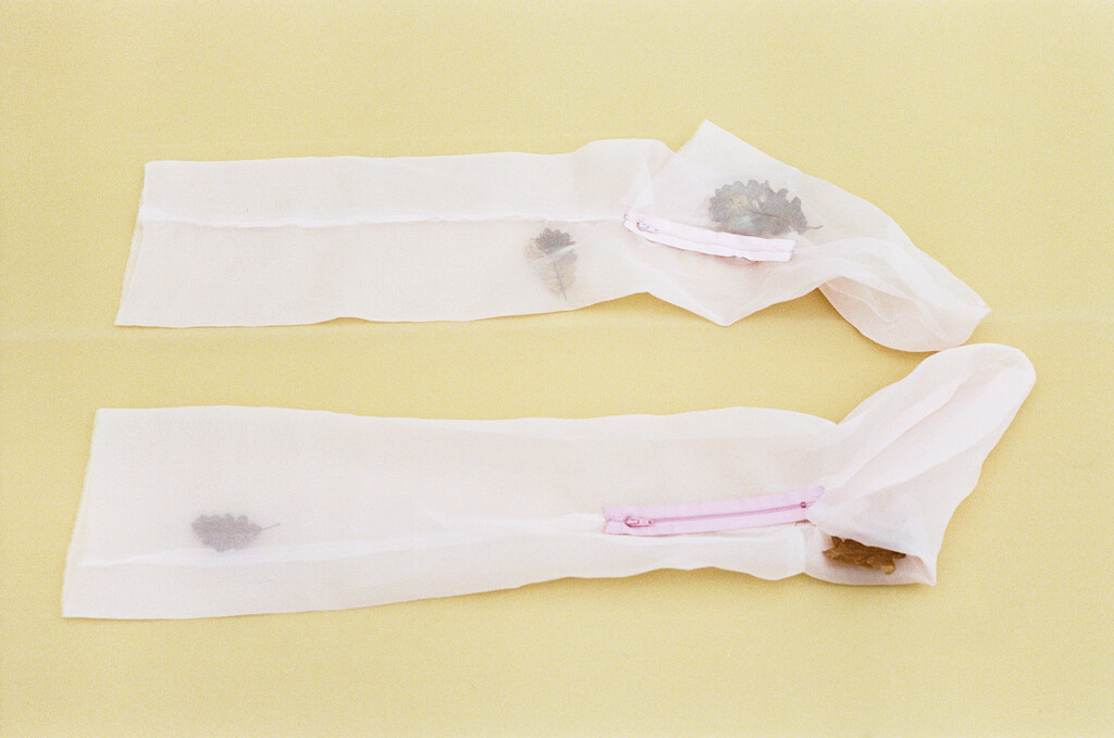 Siobhan - © Artlist