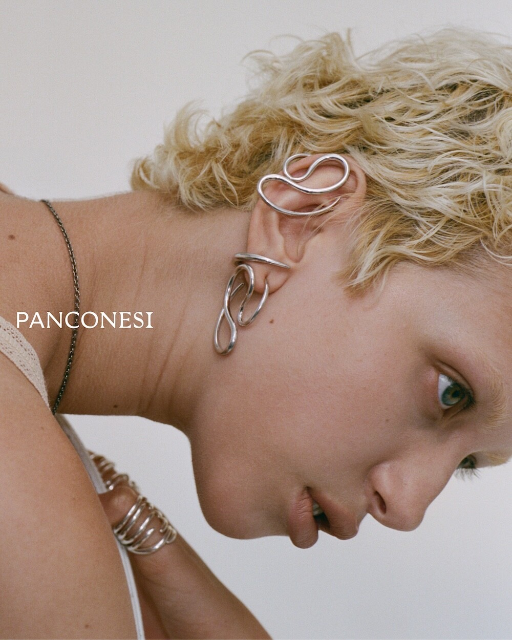 Panconesi - © Artlist