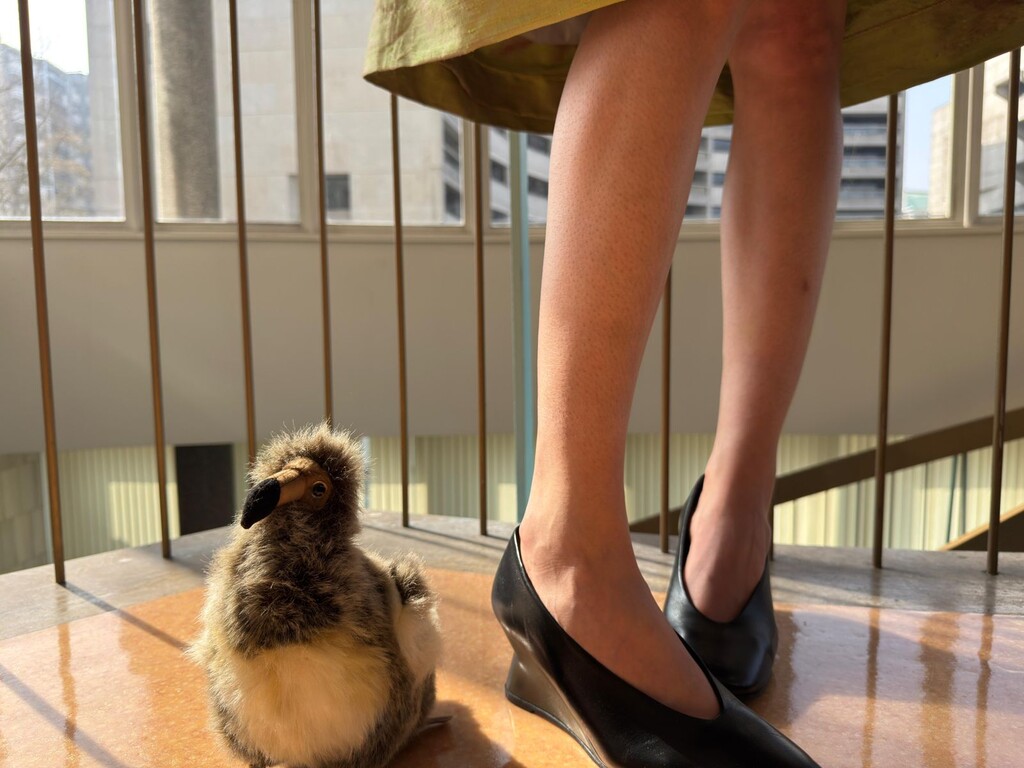 Paloma Wool - © Artlist