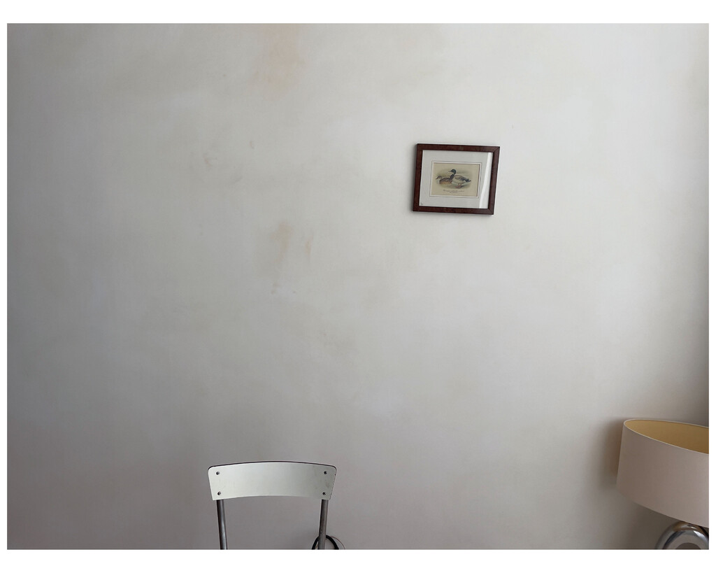 Numéro - © Artlist