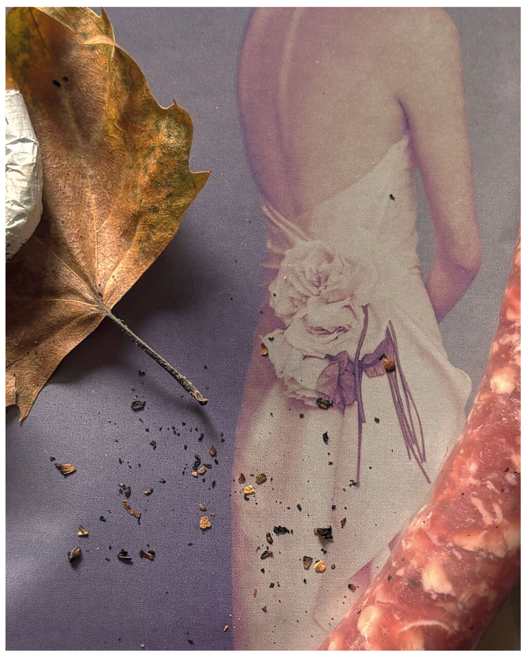 Still Lifes - © Artlist