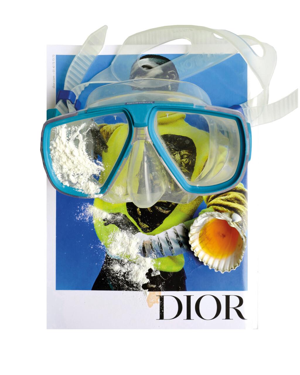 Still Lifes - © Artlist