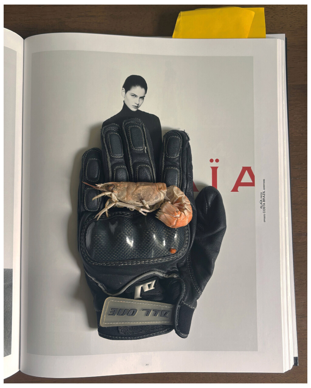 Still Lifes - © Artlist