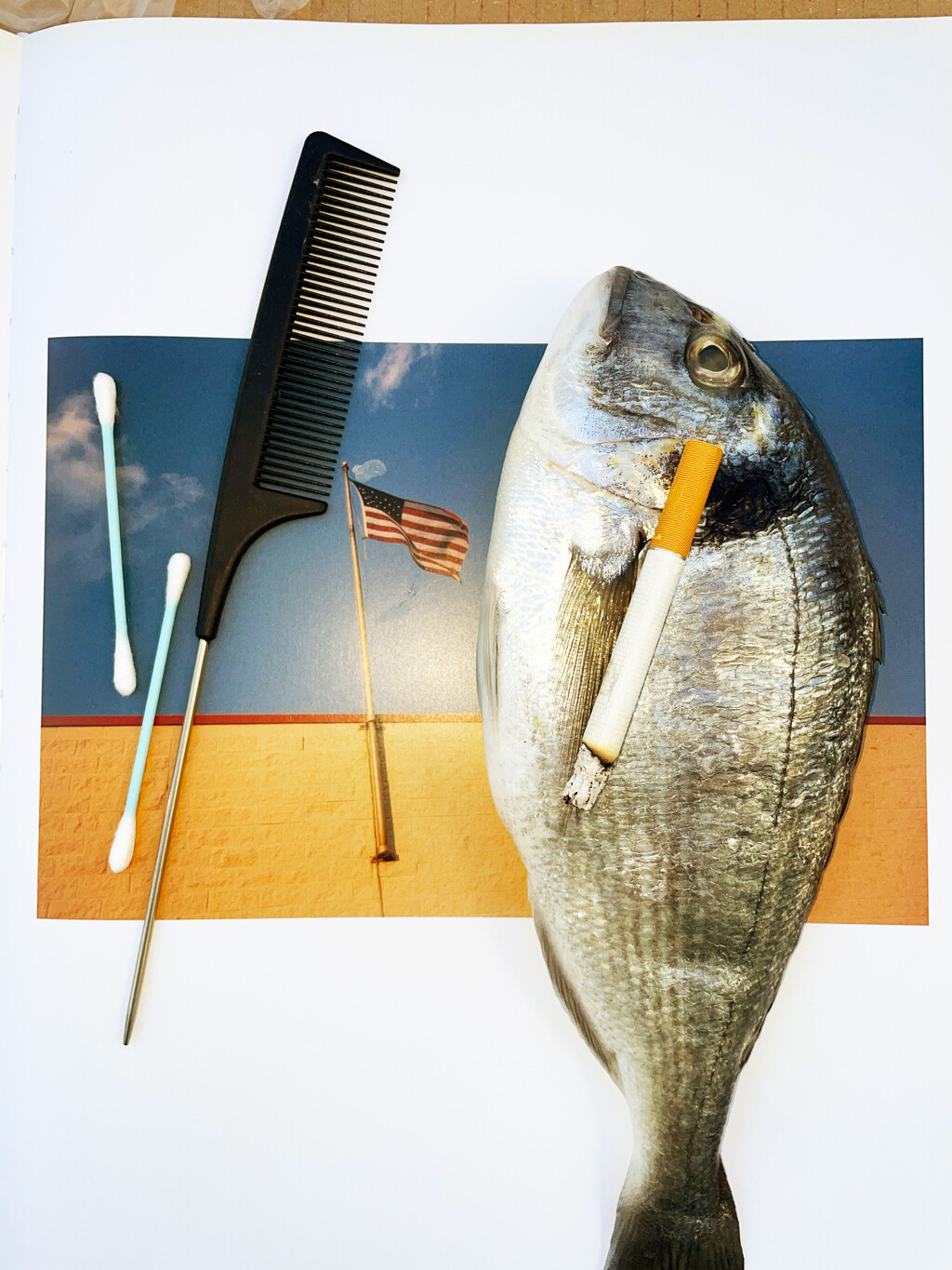 Still Lifes - © Artlist