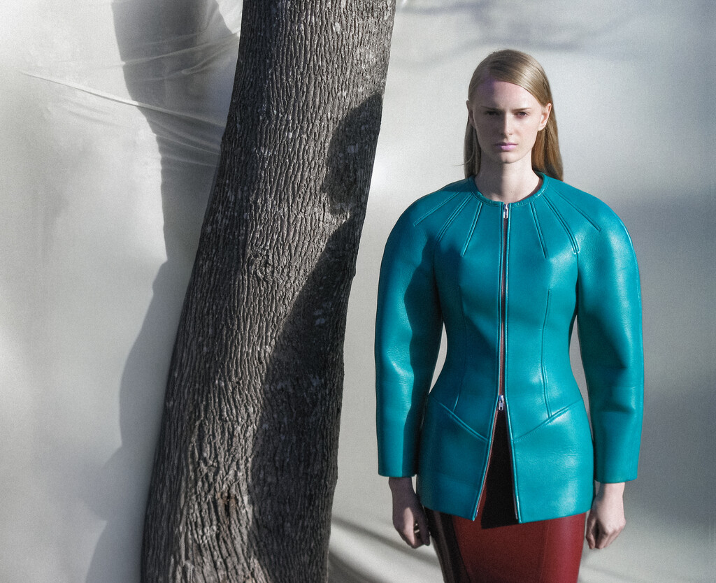 Holly - © Artlist