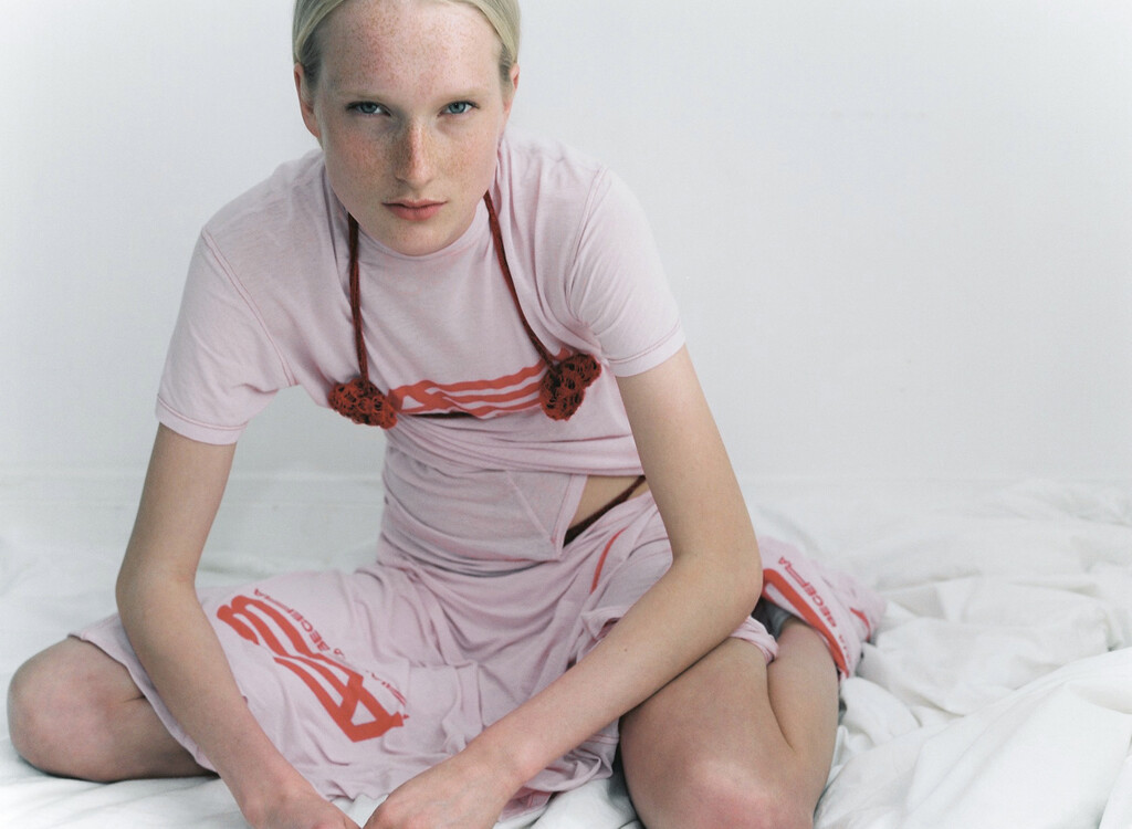 Swan&#8217;s Eyes - © Artlist