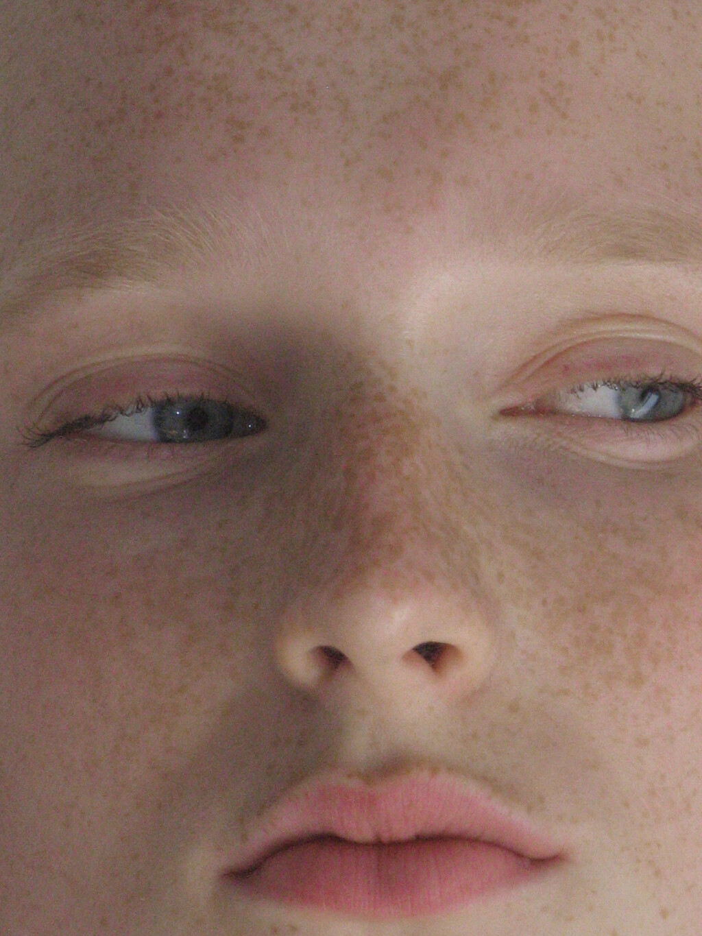 Swan&#8217;s Eyes - © Artlist