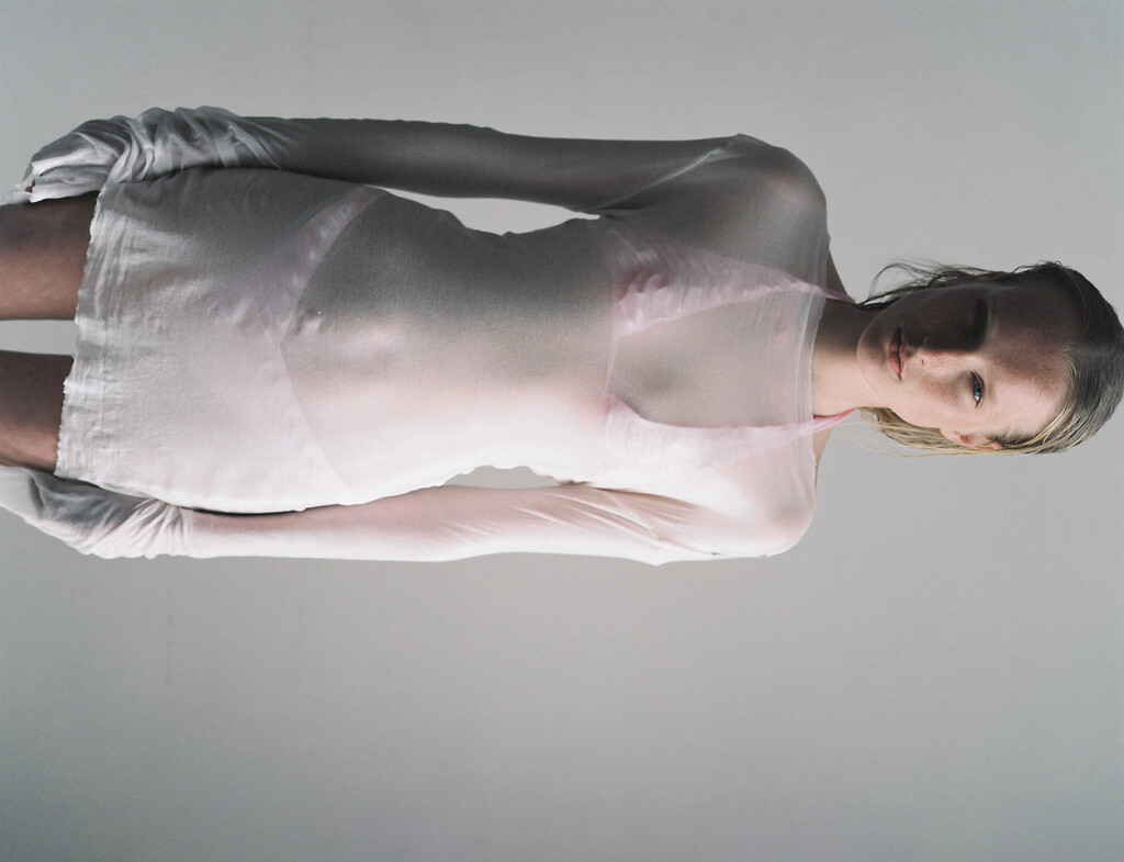 Swan&#8217;s Eyes - © Artlist