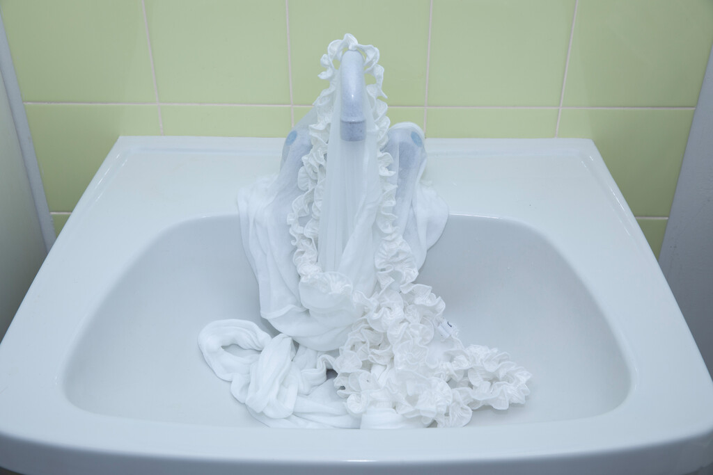 Swan’s Eyes - © Artlist