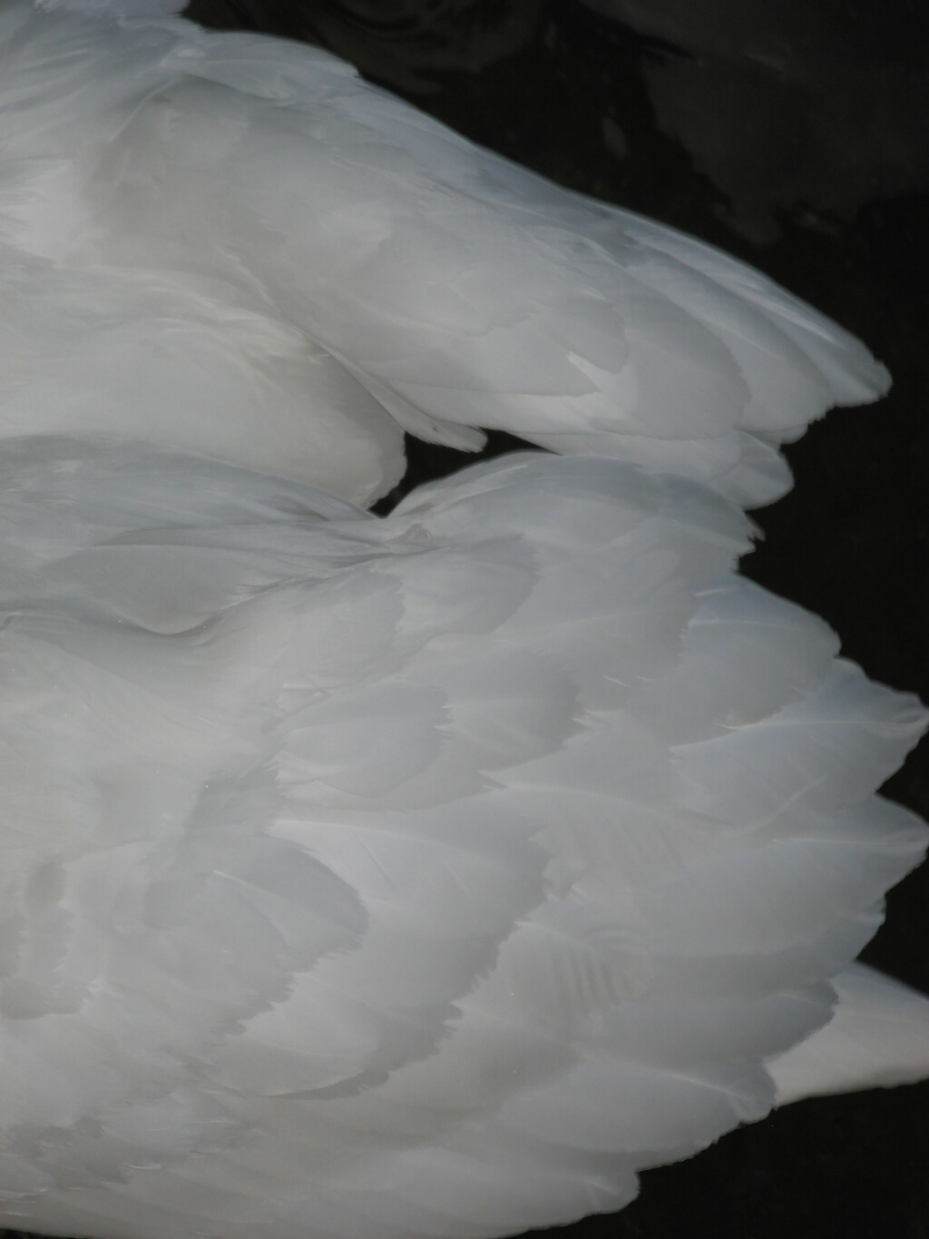 T Magazine - © Artlist