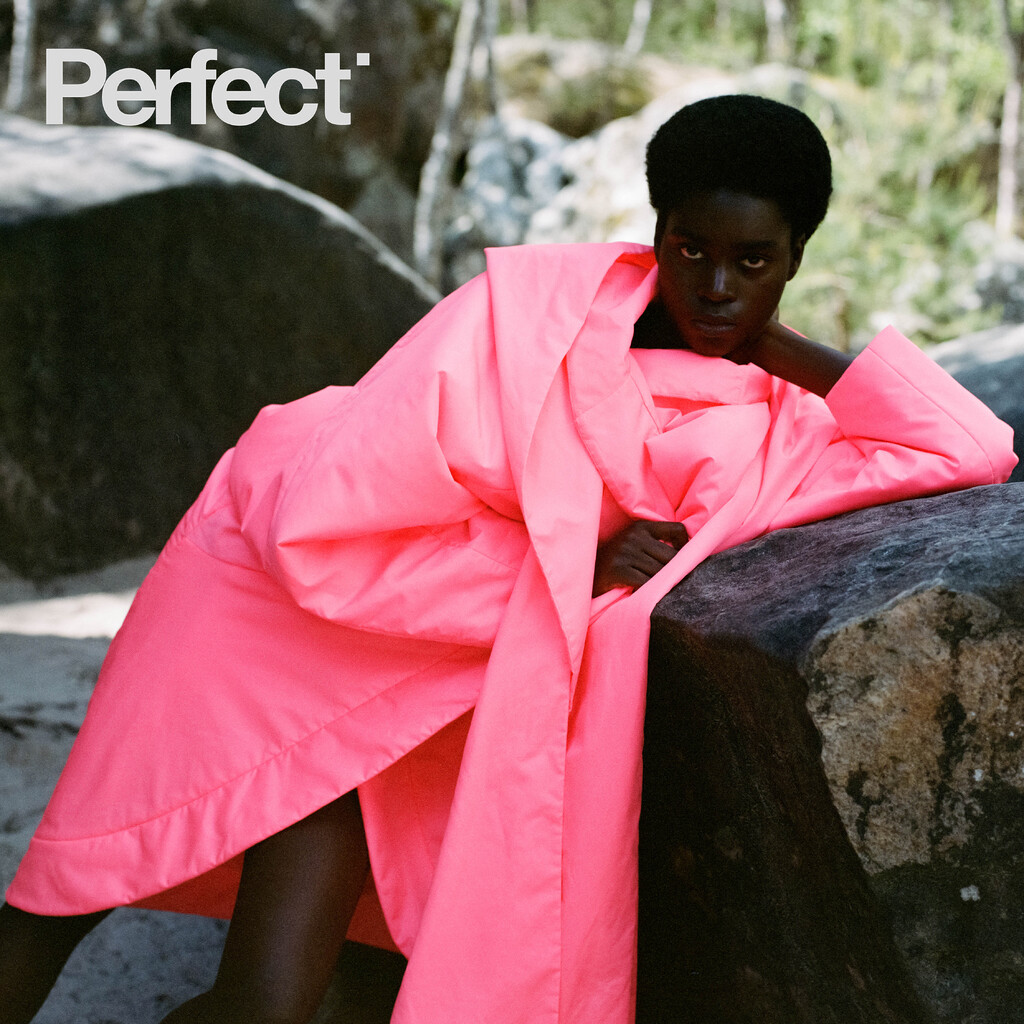 Perfect Magazine - © Artlist