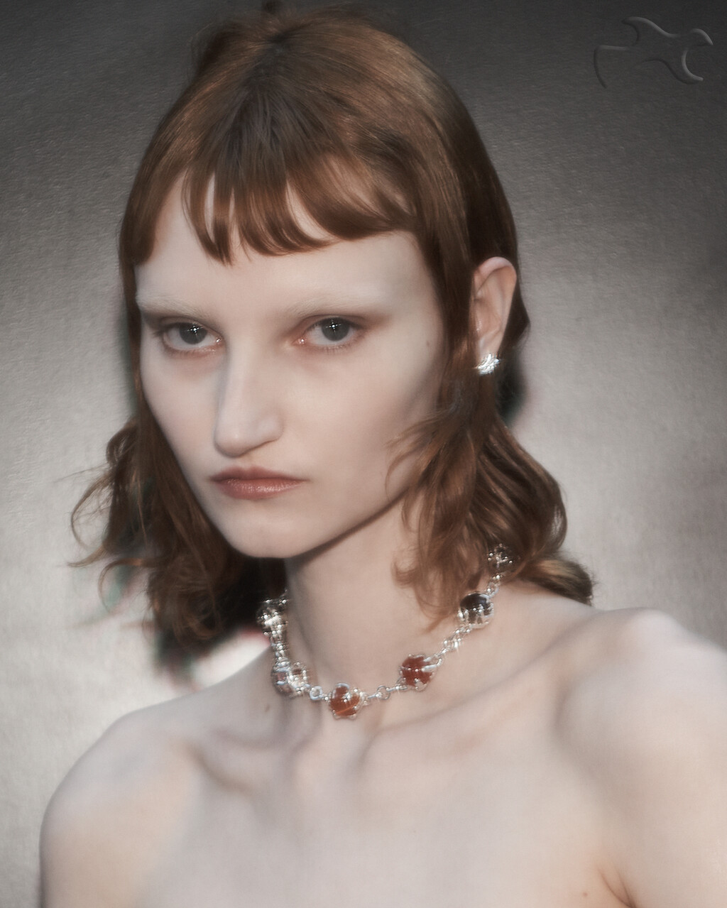 Colombes D&#8217;humières - © Artlist