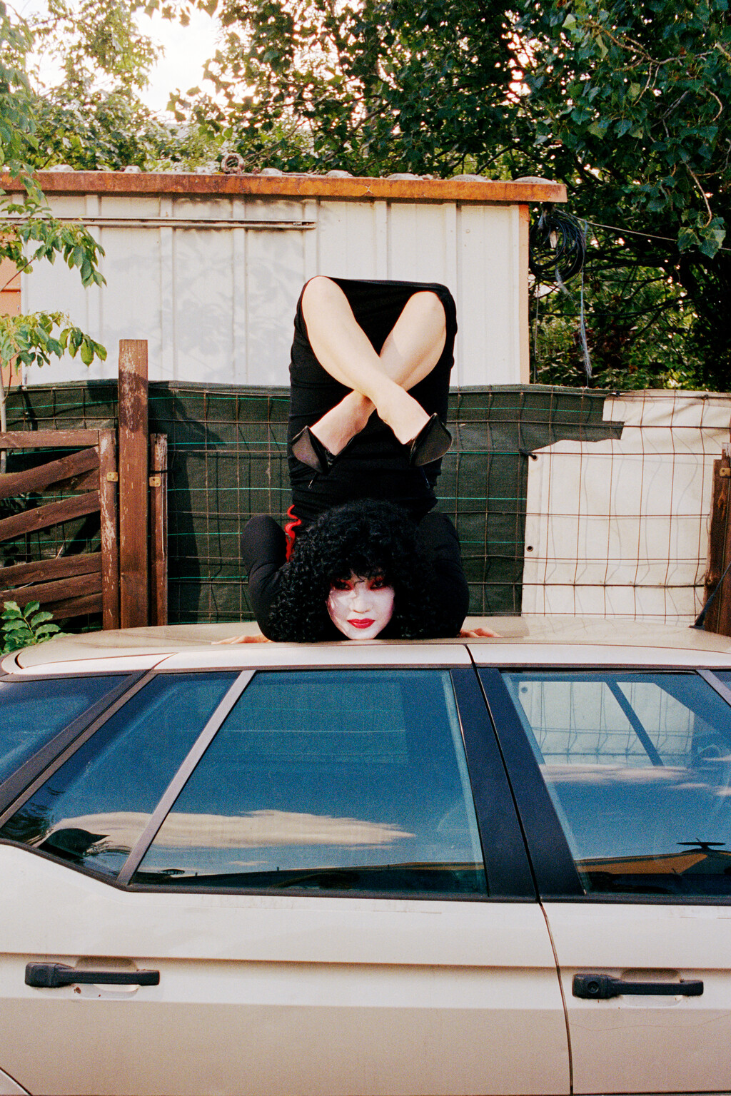 D la Repubblica - © Artlist