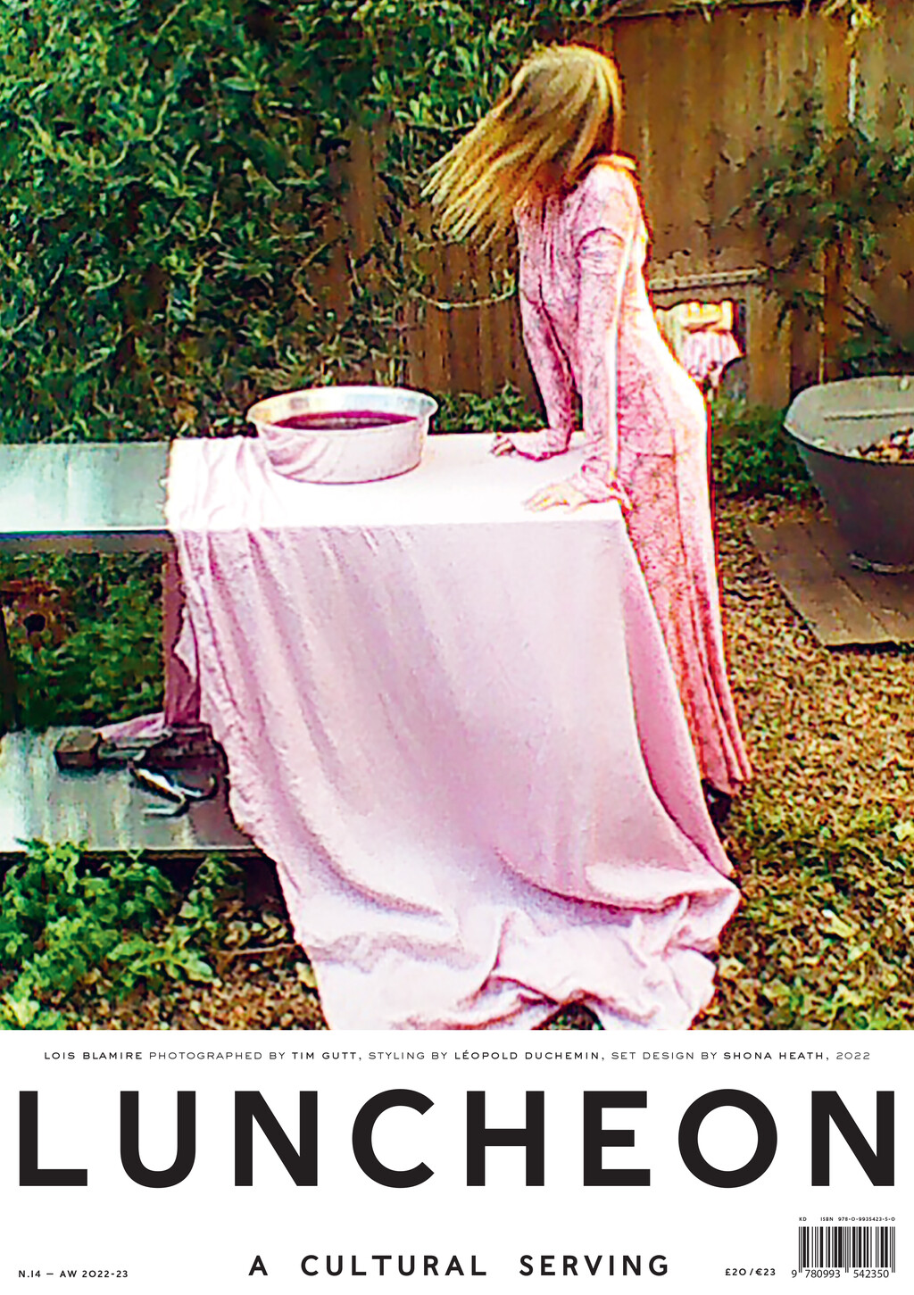 Luncheon - © Artlist