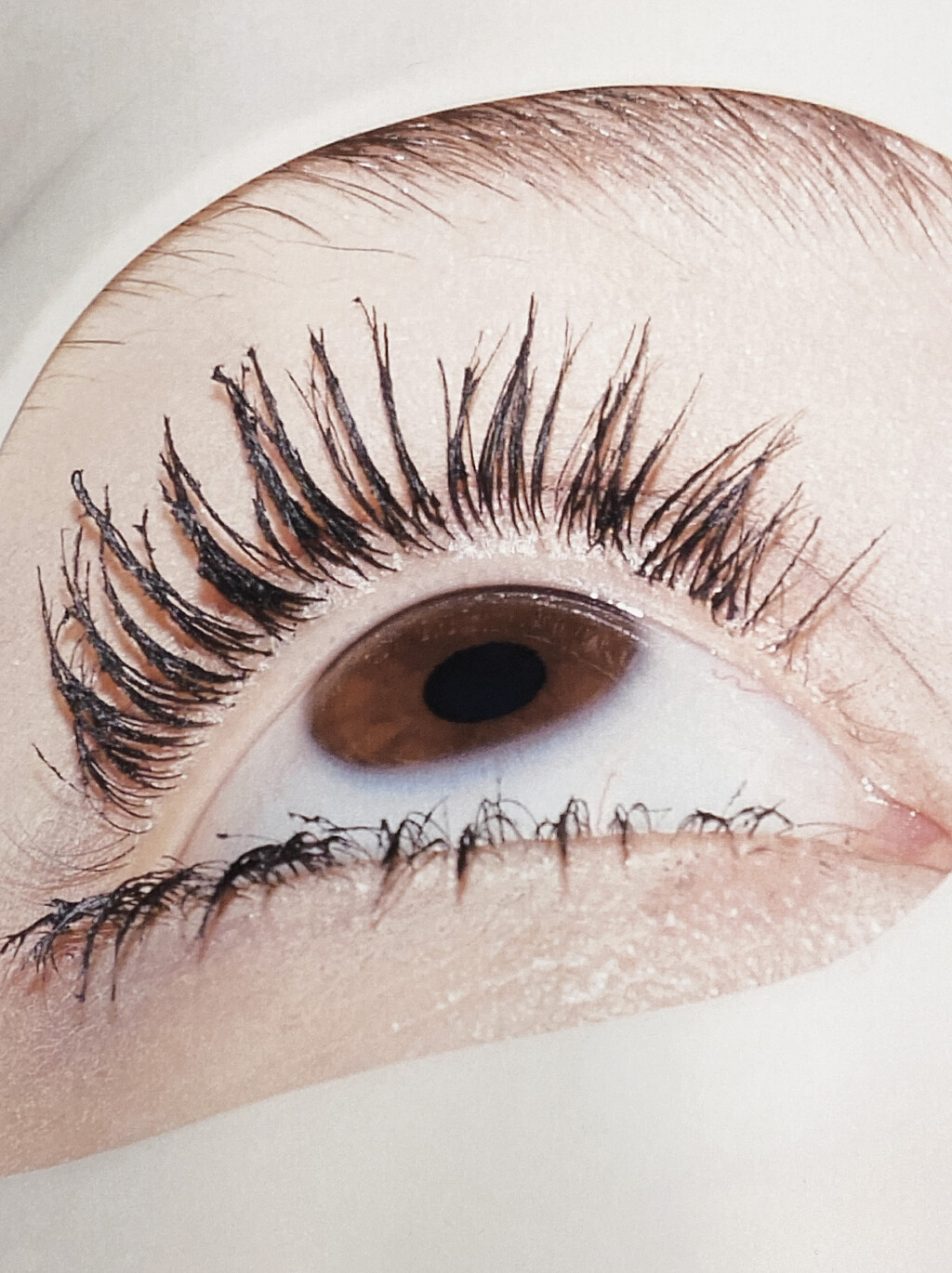 Harper’s Bazaar France - © Artlist