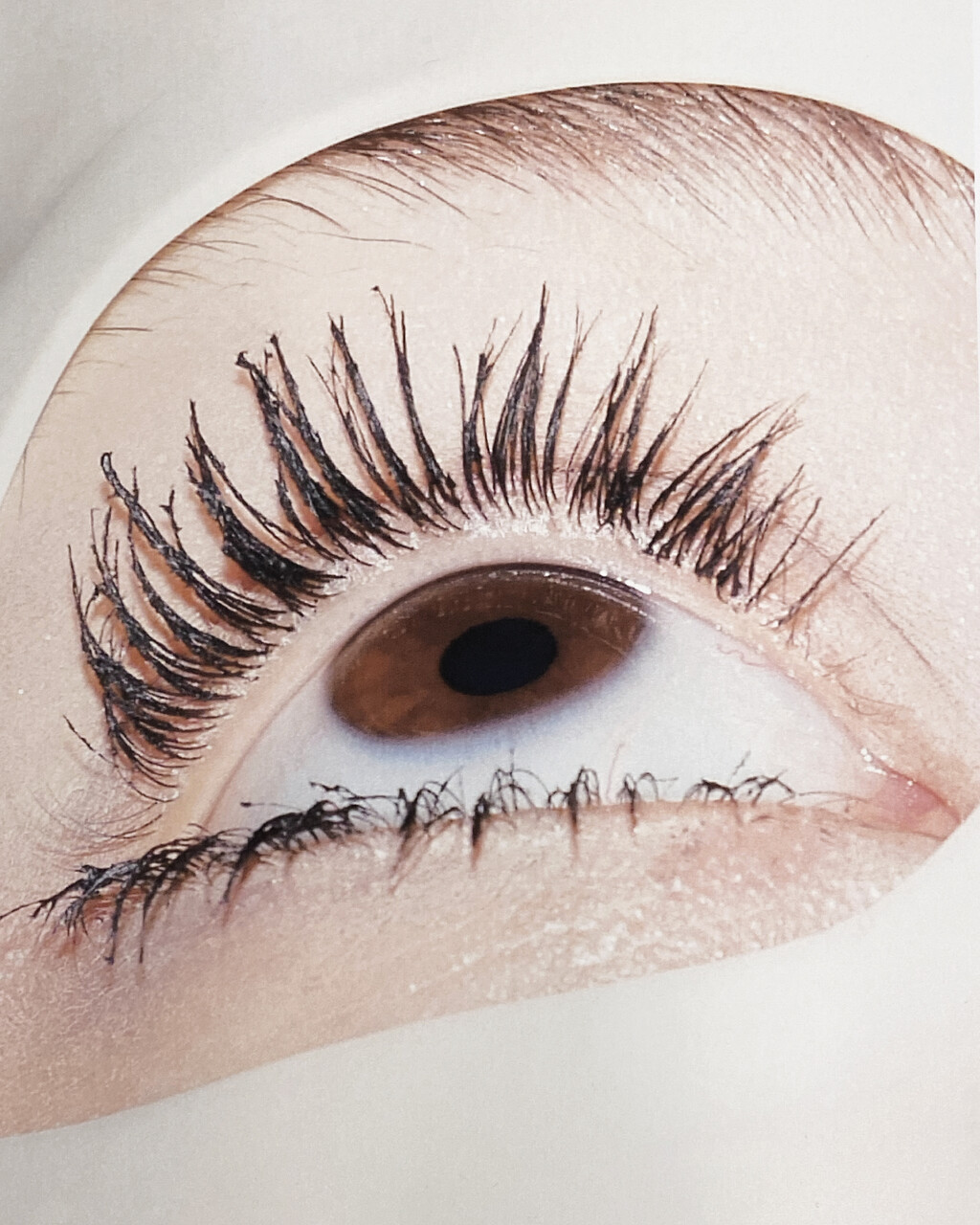 Harper’s Bazaar France - © Artlist