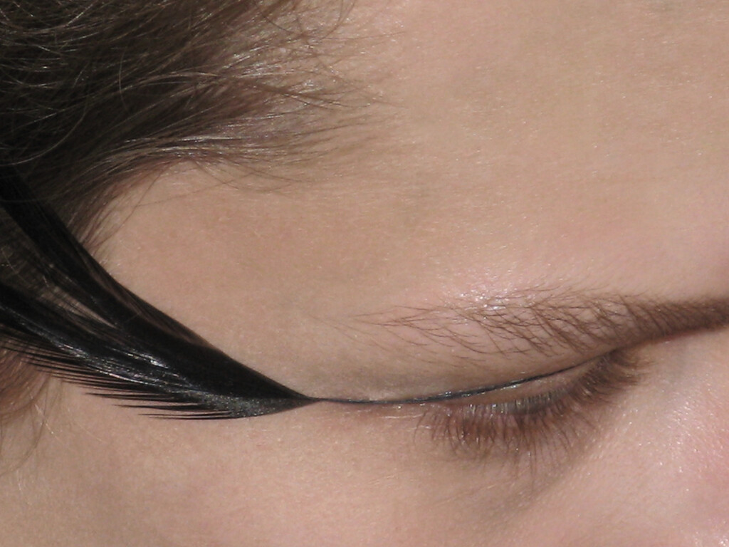 Swan Eyes - © Artlist