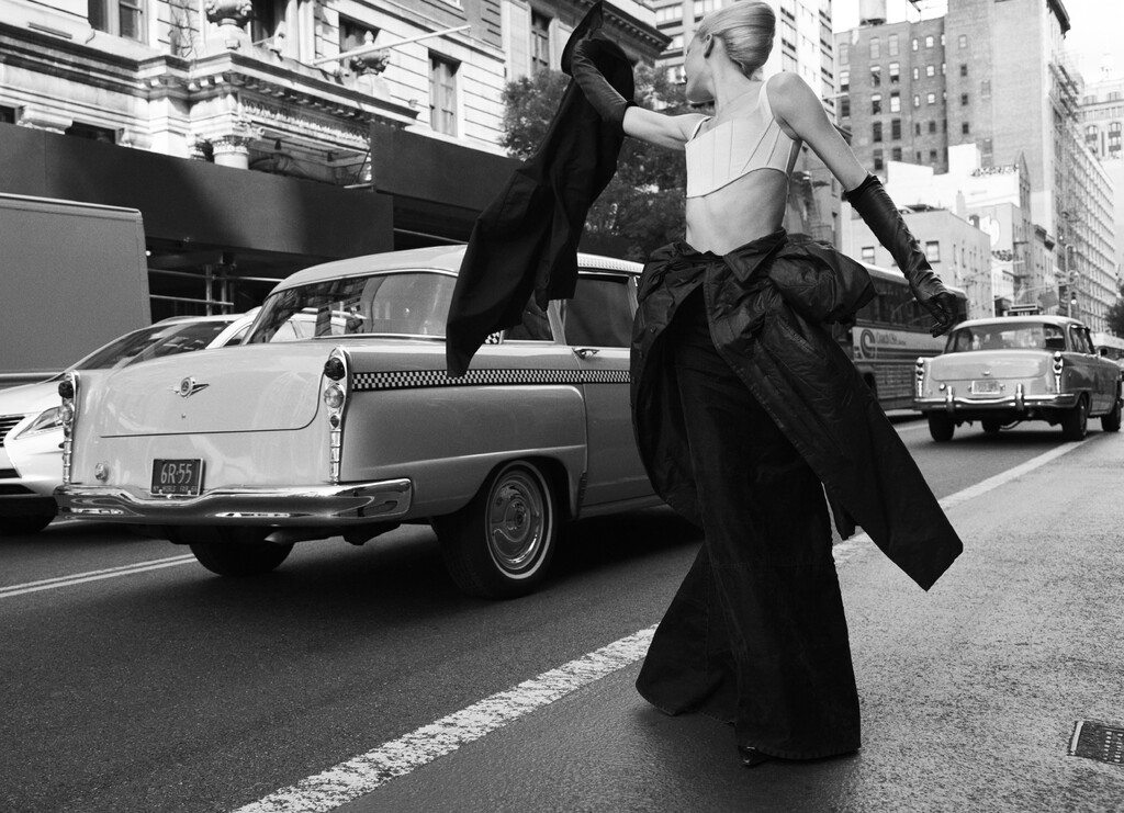 Buffalo Zine - © Artlist