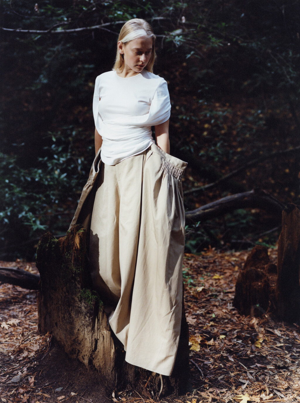 Purple Magazine - © Artlist