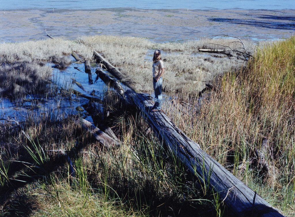 Purple Magazine - © Artlist