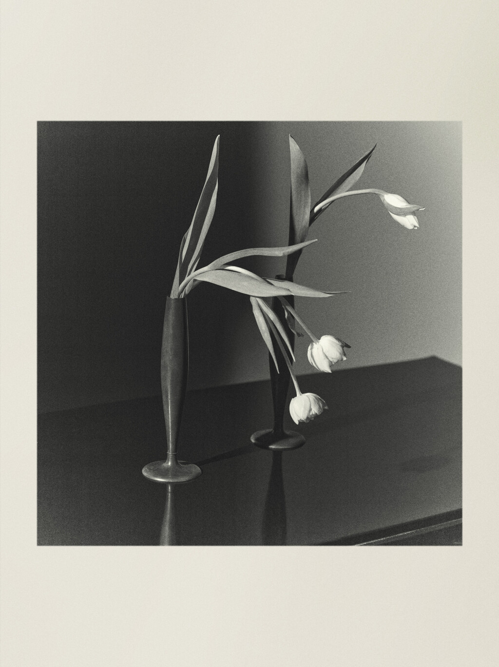 The Row - © Artlist