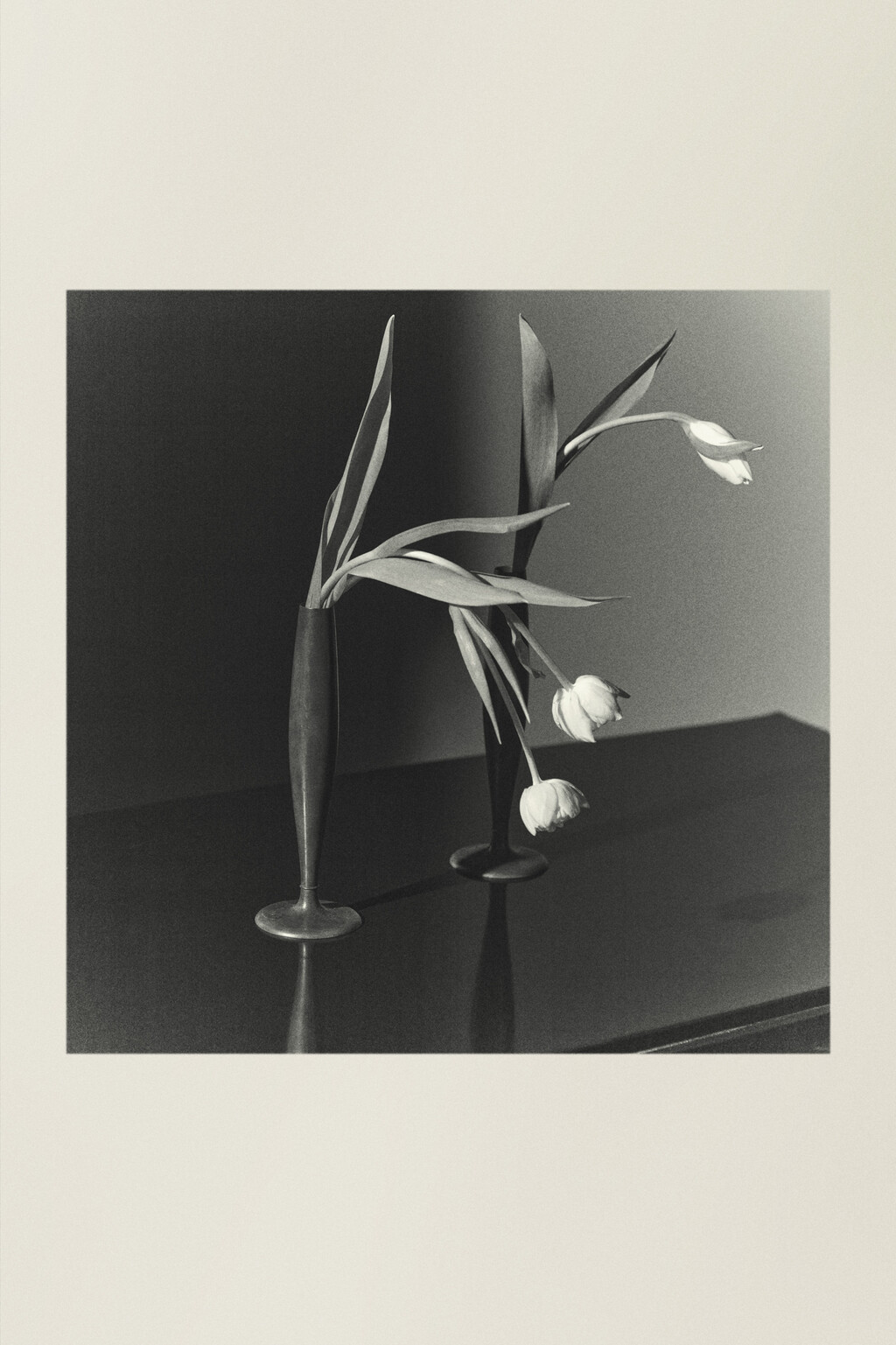 The Row - © Artlist