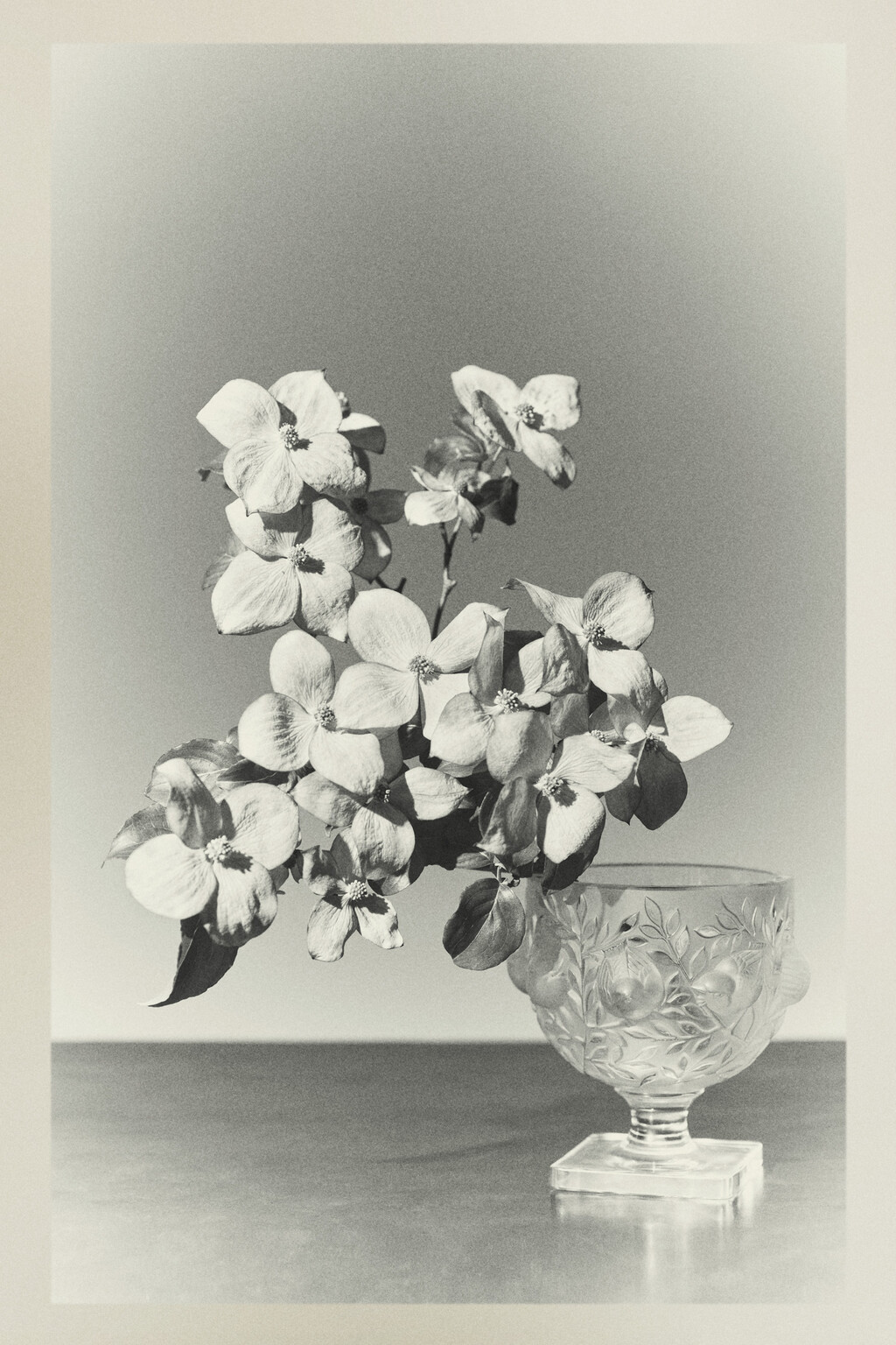 The Row - © Artlist