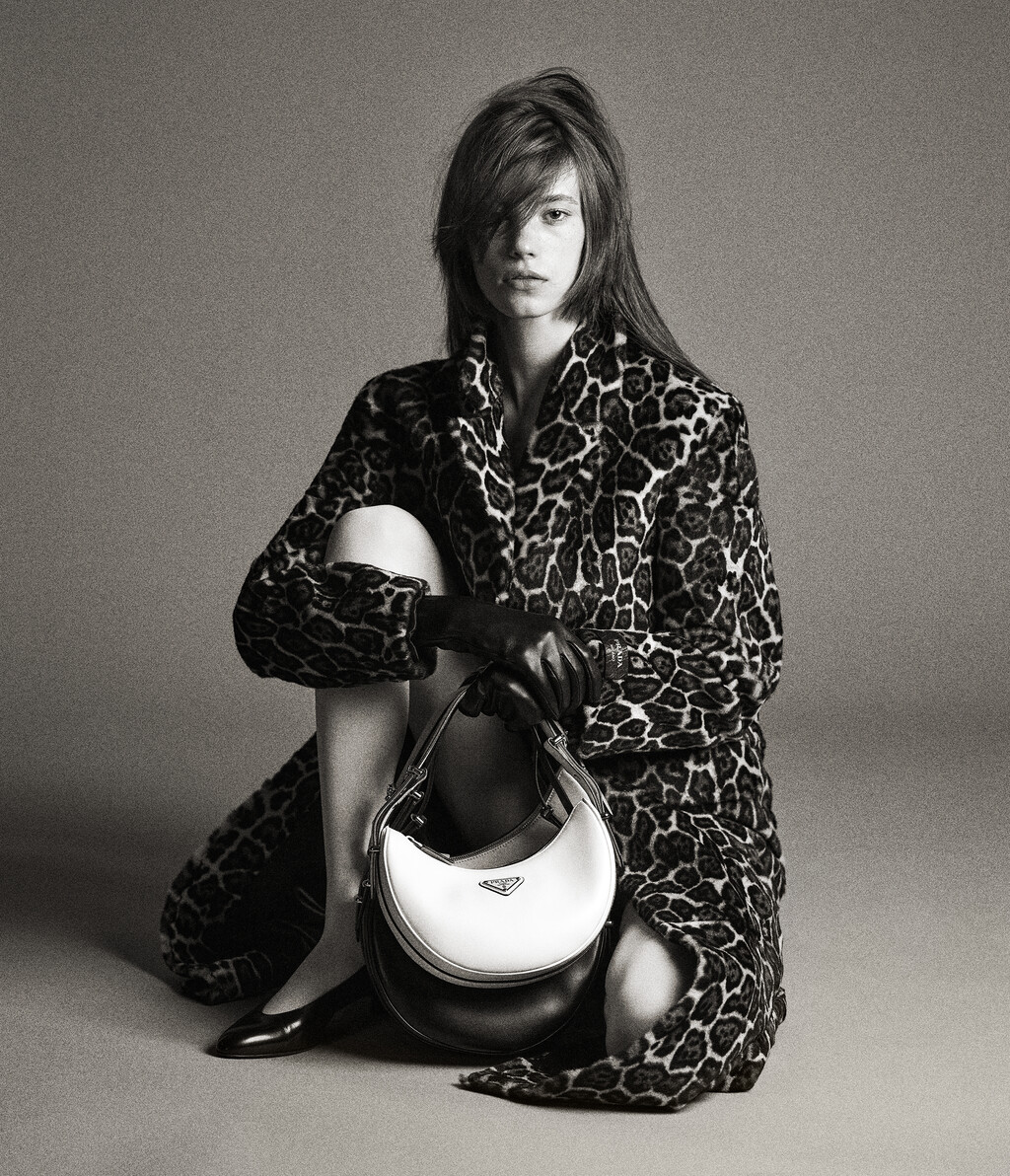 D la Repubblica - © Artlist