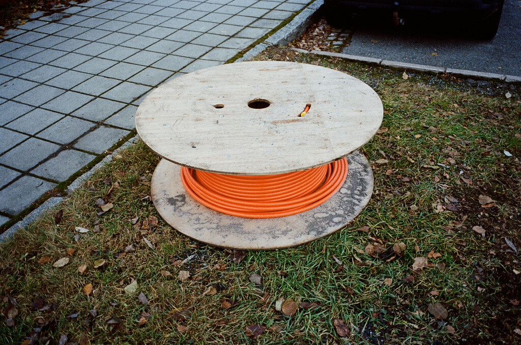 Birk - © Artlist