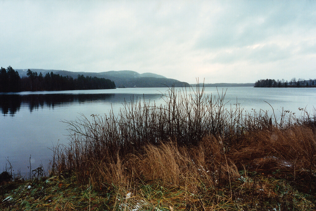 Alei Journal - © Artlist