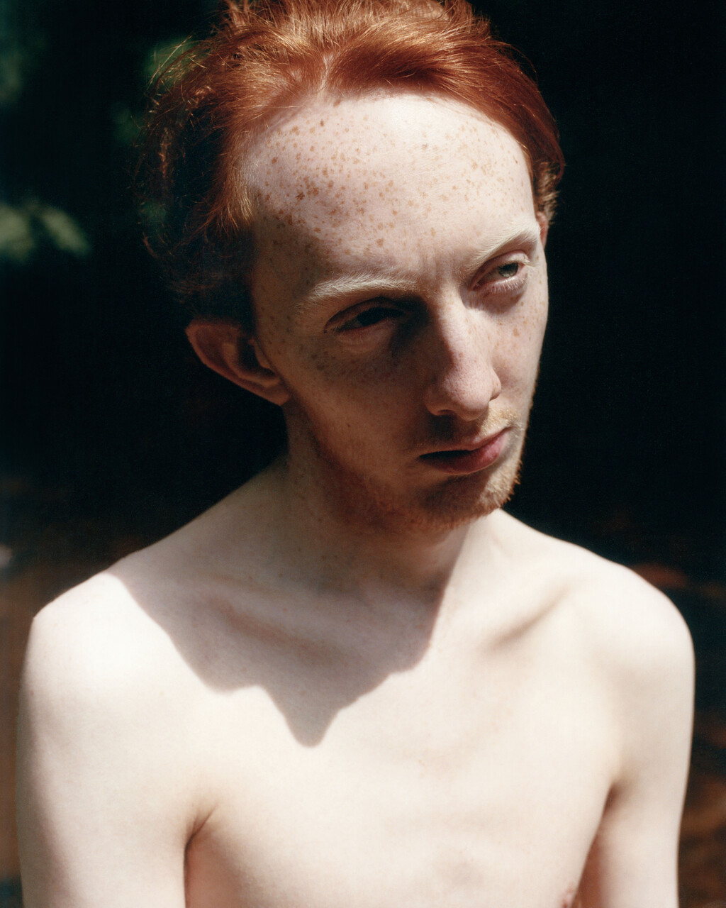 Alei Journal - © Artlist