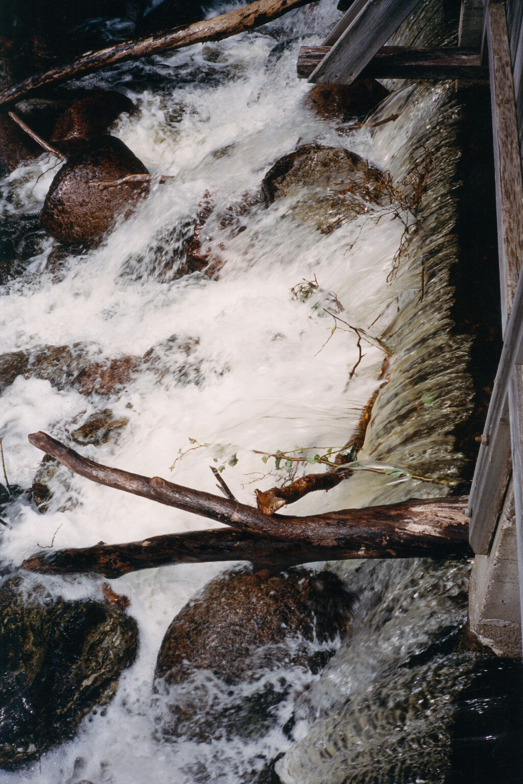 Alei Journal - © Artlist