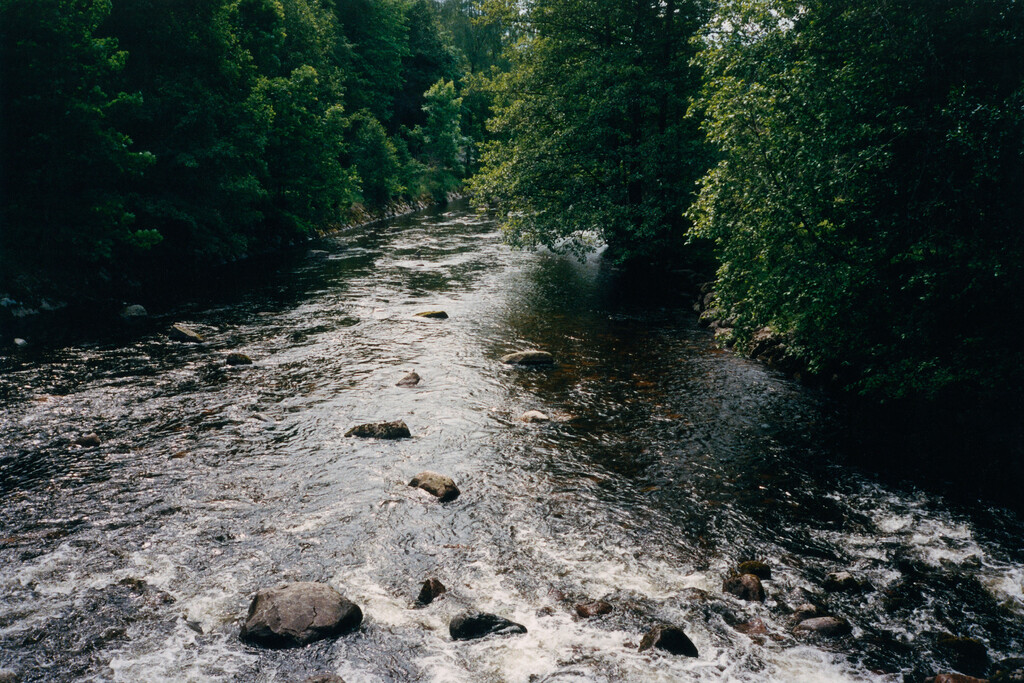 Alei Journal - © Artlist