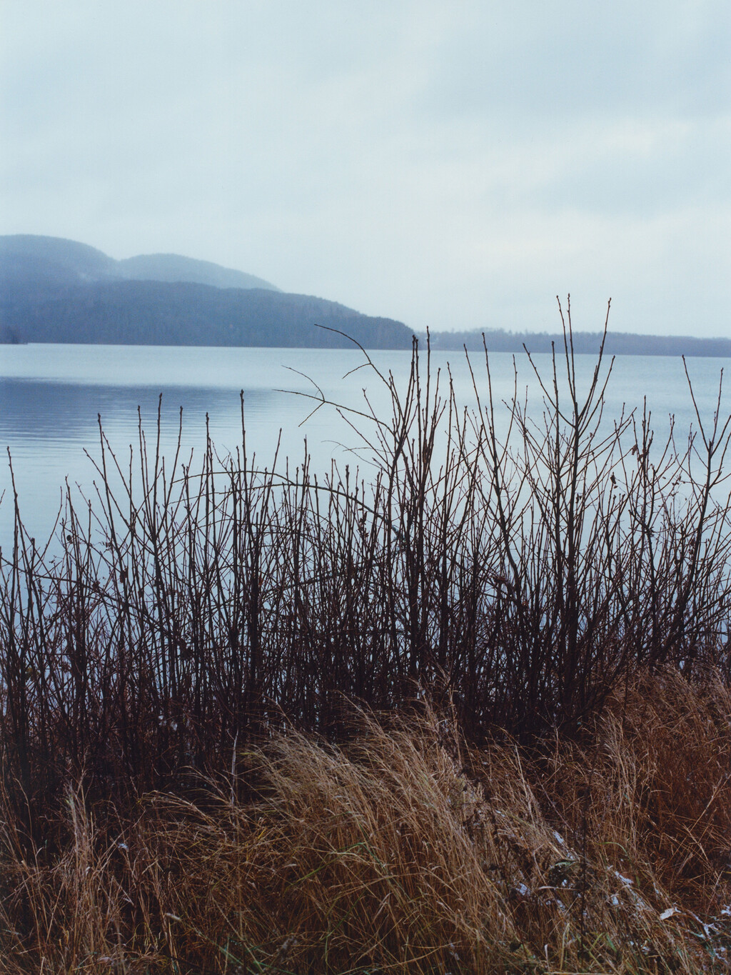 Alei Journal - © Artlist