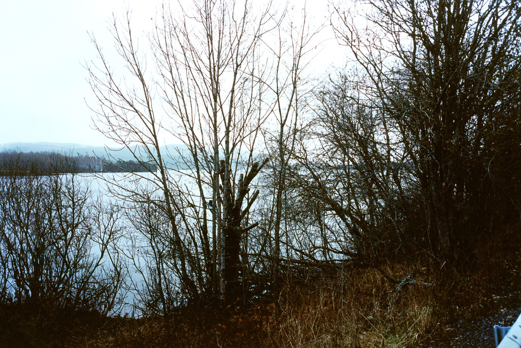 Alei Journal - © Artlist