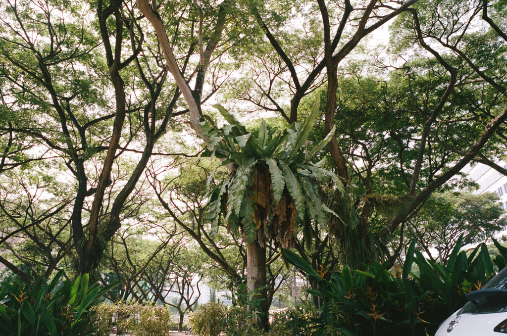 Kilometer book - © Artlist