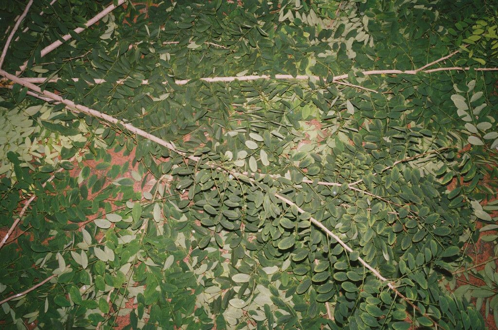 Kilometer book - © Artlist