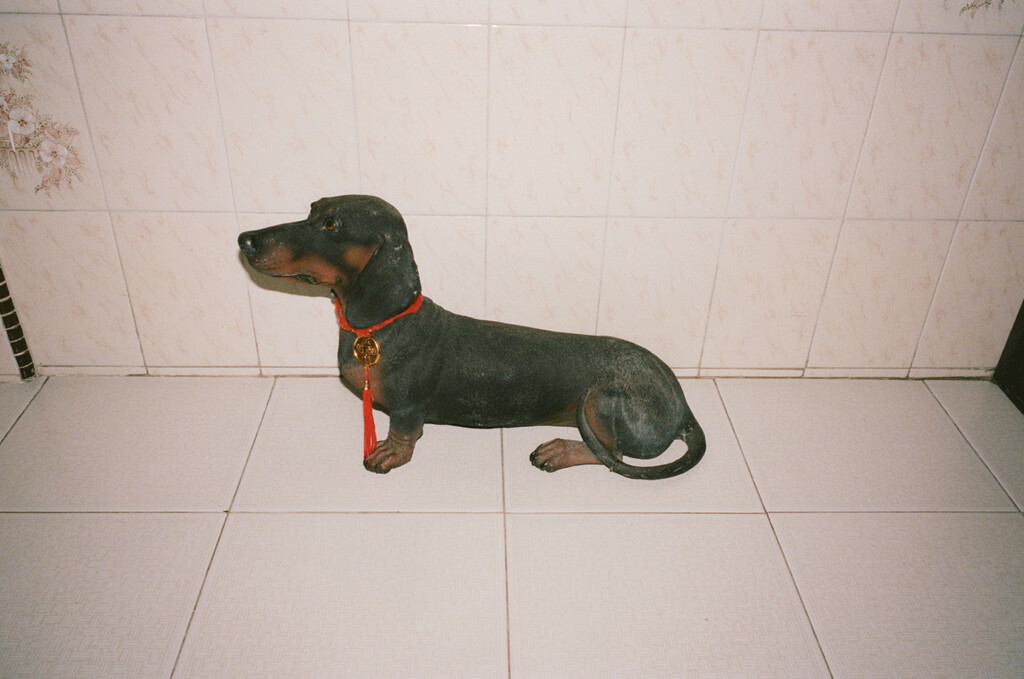 Kilometer book - © Artlist