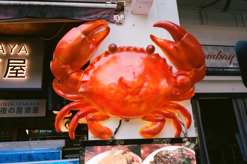 Kilometer book - © Artlist