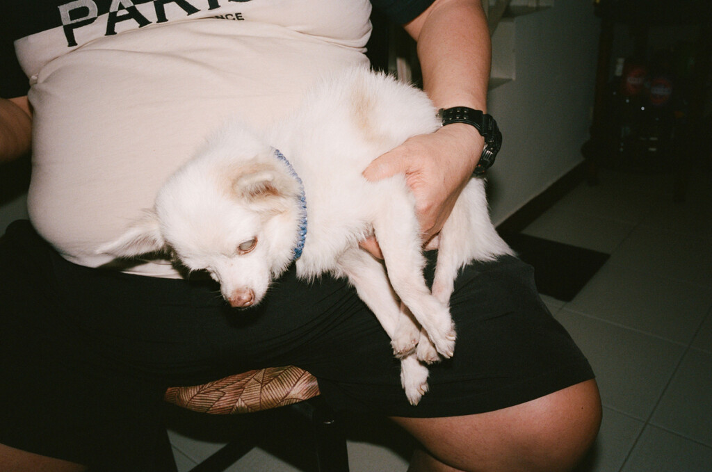 Kilometer book - © Artlist