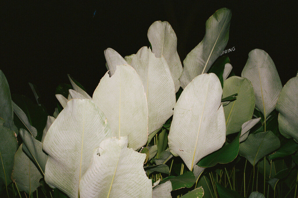 Kilometer book - © Artlist