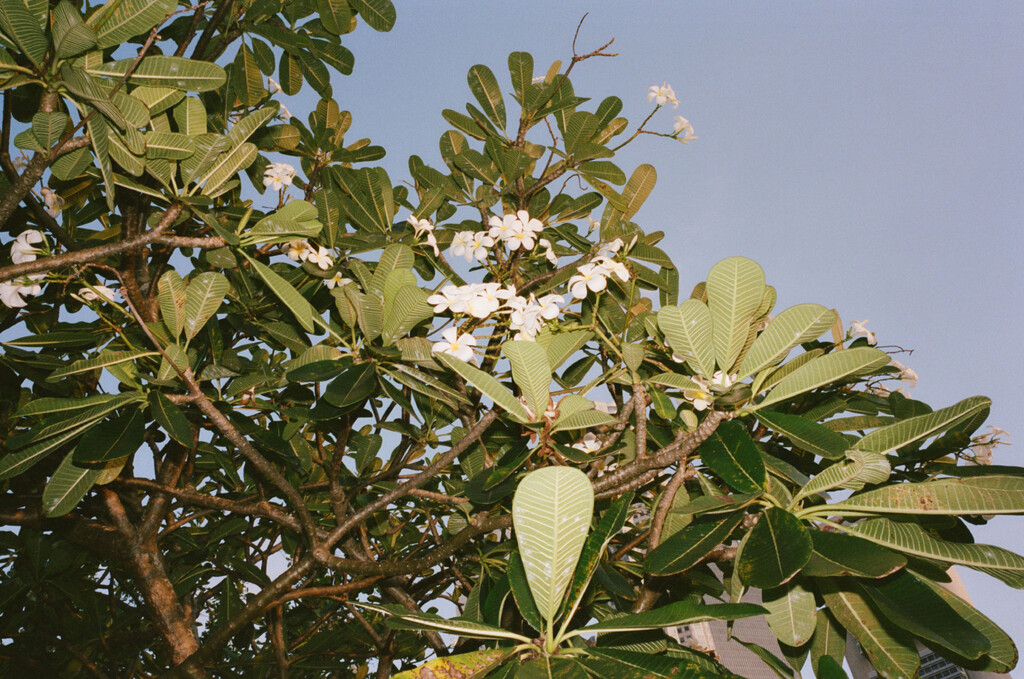 Kilometer book - © Artlist