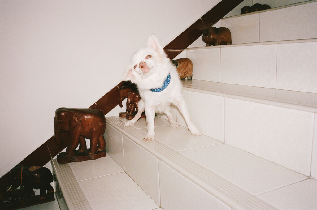 Kilometer book - © Artlist