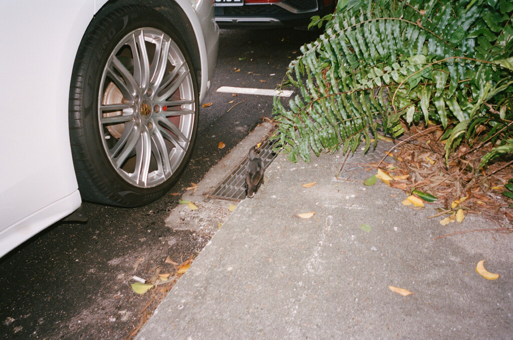 Kilometer book - © Artlist